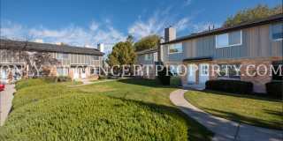 Aspen Valley Gallery 243