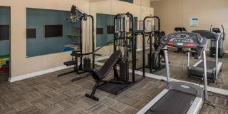 The Versailles Gallery 34