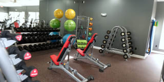 TGM Odenton Gallery 10