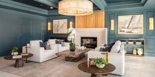 The Canopy Gallery 28