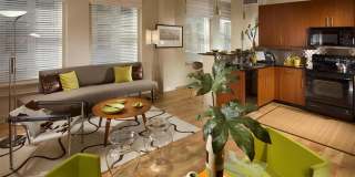 Metro 417 Gallery 37