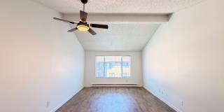 The Court at Northgate Gallery 114
