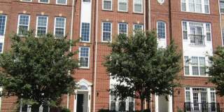20606 MAITLAND Terrace Gallery 1
