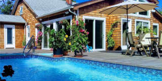 352 Surf Road Gallery 1