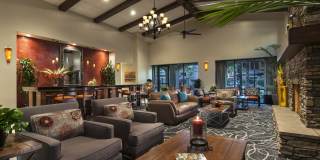 San Privada by Mark-Taylor Gallery 2