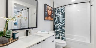 Tortoise One Gallery 20