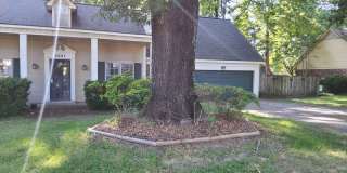 2541 Surrey Wood Dr Gallery 2
