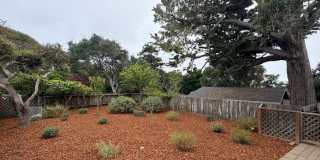 922 Maple Street Gallery 3