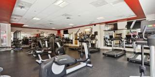 Arrive Stamford Gallery 13