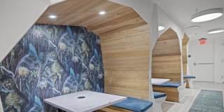 Coda on Half Gallery 21