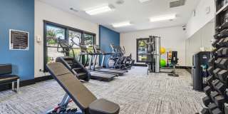 Tree Park Apartments Gallery 49