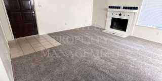 COL3701 Gallery 1