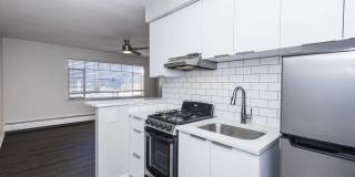 Emily Dickinson Gallery 1