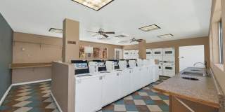 Arcadia Park Gallery 9