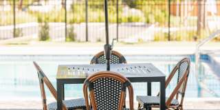 Isla Palmetto Gallery 42