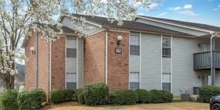 Ascot Place Gallery 16