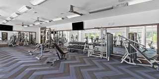 422 At The Lake Gallery 23