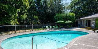 Englewood Terrace Gallery 14