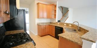 8250 RED CARNATION Court Gallery 4