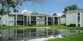 Cadia on the Loop Gallery 27