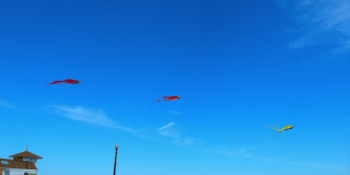 100 18th Avenue Gallery 23