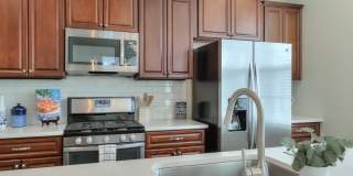 7205 Lowery Oak Drive Gallery 14