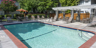 Driftwood Apartments Gallery 18