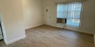 ONE11 COLLECTION - ROYAL OAK Gallery 50