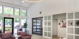 Whimsical Pig Gallery 2