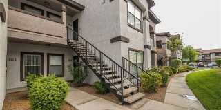 45 MALEENA MESA Street Gallery 1