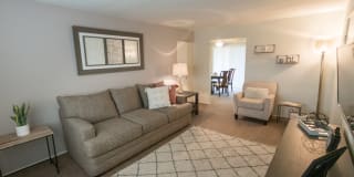 Lake of the Woods Gallery 10