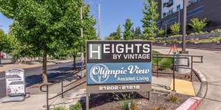 Heights By Vintage Gallery 41