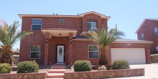 4056 TIBUNI Gallery 1