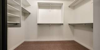 COMING SOON! Great Location!Stunning 6-bedroom Plus 7, 4.5-bathroom home located in Chandler Gallery 58