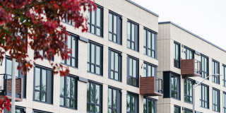 The Piper Gallery 19