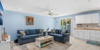 Dolphin Beach Gallery 11