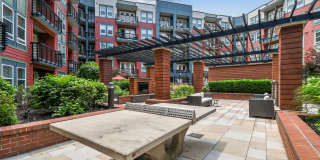 The James Gallery 21