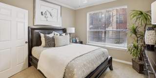 The Saxony Apartments The Saxony Apartments Gallery 45