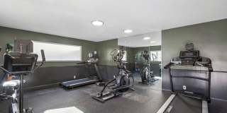 The Mark Apartments Gallery 6