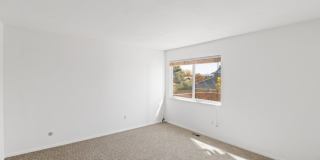 Beautiful 3 bedroom home in Arvada Gallery 11
