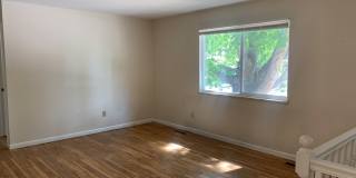 Mid-Town Single Family Home w/ Spacious Fenced Yard Gallery 4