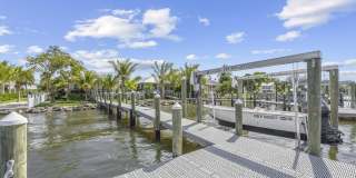 19 Vip Island Gallery 9