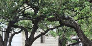 Deer Oaks Gallery 5
