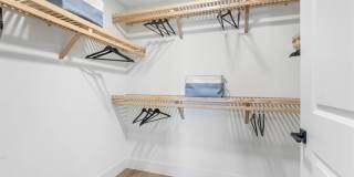 Tortoise One Gallery 15