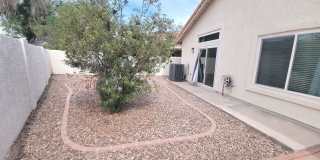 Tempe Terrace Gallery 30