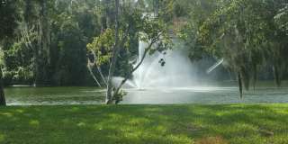 12341 Villager Ct Gallery 22