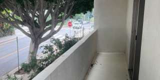 323 MARINE ST Gallery 10