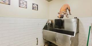 2121 Belmont Gallery 23