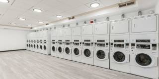 Vivo Living Gallery 19