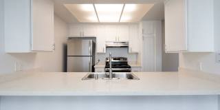 The Pacific at Mission Bay Gallery 11